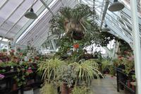 Privatgarten auf Jersey 