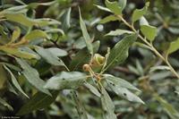 Paris 2018 - Eberhardt-Travel - Reiseleiter Martin Büchner-5170