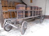 So werden die Körbe Weintrauben gesammelt und transportiert