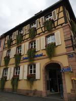 Die Bepflanzung ist auch sehr interessant 