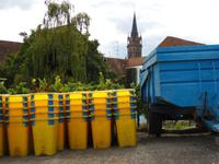 Dambach-la-ville und seine Winzer