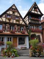 Erneut fällt die umfassende Blumigkeit der Region auf