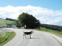 Wo sie wohl hin möchte?