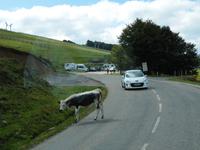 Doch lieber die andere Richtung...