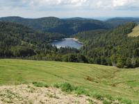 Eine Mittagspause auf der Alm hätte vielen gefallen