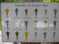 Monaco Japanischer Garten