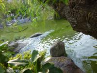 Monaco Japanischer Garten