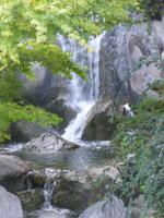 Monaco Japanischer Garten