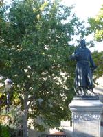 Aigues Mortes Markt mit König hl. Ludwig