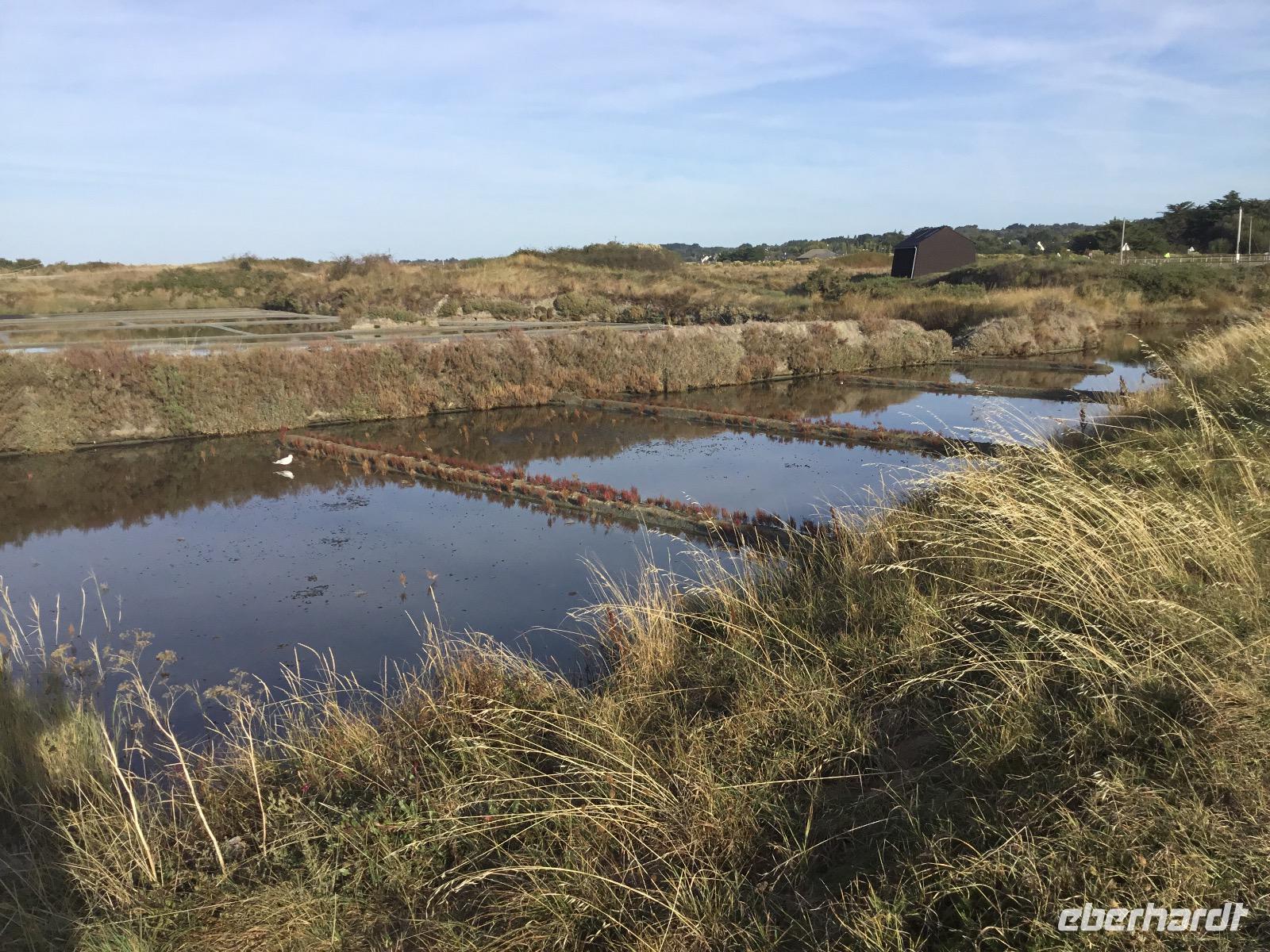 Salzgewinnung in Guérande