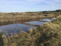 Salzgewinnung in Guérande