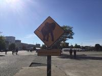 Achtung: Elefant in Nantes