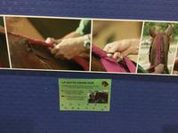 Besondere Flechtkunst