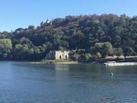 Entdeckungen am Flussufer