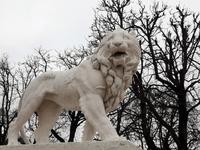 Der Löwe ist immer dabei