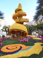 Zitrusfrucht-Schneckenhaus