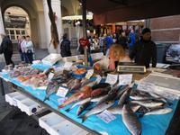 Fischmarkt in Nizza´s Altstadt
