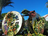 Diese Blumenpracht war wirklich eine Augenweite