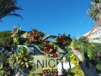 Erneut werden Mimosenzweige verteilt