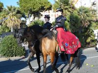 Mehrere Reiter waren auch mit von der Partie