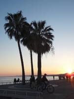 Sonnenuntergang mit Palmen