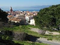 Blick auf St. Tropez von der Zitadelle aus