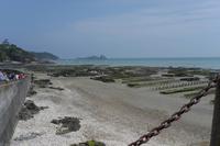 172.Cancale-Austernzucht