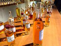 172_Cognac-Probe
