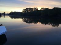 Erwachen mit Vogelgesang