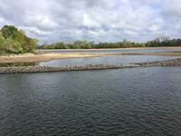 die Loire - ein Vogelparadies