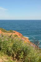 Fotostopp Esterel-Gebirge