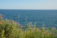 Fotostopp Esterel-Gebirge