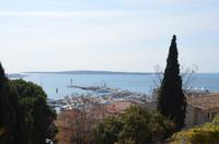 Blick auf Yachthafen von Cannes