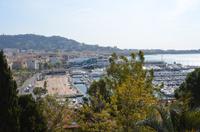 Blick auf Yachthafen von Cannes
