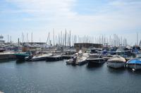 Yachthafen Cannes
