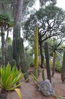 Exotischer Garten, Monaco