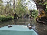Bootsfahrt im Marais Poitevin