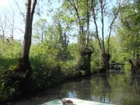 Bootsfahrt im Marais Poitevin