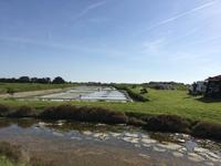 Salzgarten auf Noirmoutier
