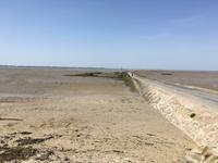 Weg zur Passage du Gois bei Flut