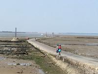 Weg zur Passage du Gois bei Flut