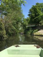Bootsfahrt im Marais Poitevin