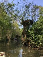 Bootsfahrt im Marais Poitevin