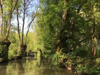 Bootsfahrt im Marais Poitevin