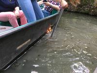 hier brennt sogar das Wasser - Marais Poitevin