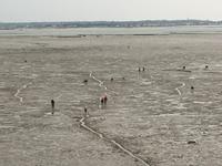 Chateau d'Oleron bei Ebbe