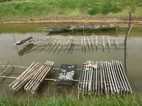 Austernfarm von Marennes