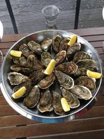 Austernverkostung in Marennes