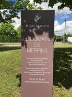 Führung und Verkostung in Cognac bei Remy Martin