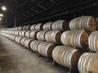 Führung und Verkostung in Cognac bei Remy Martin